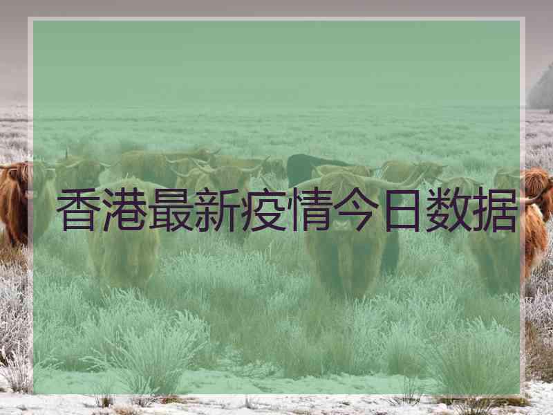 香港最新疫情今日数据 香港最新疫情今日数据