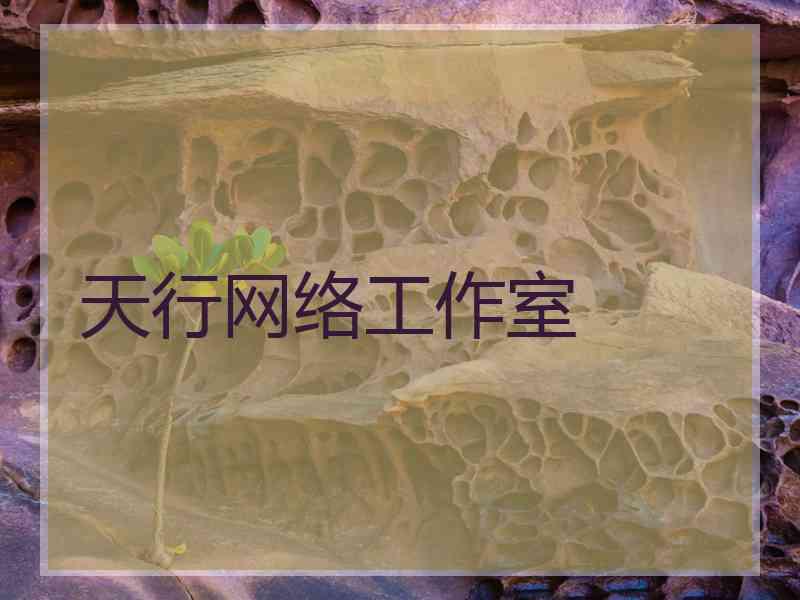 天行网络工作室