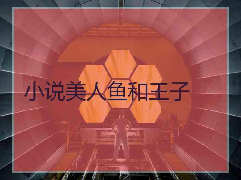 小说美人鱼和王子