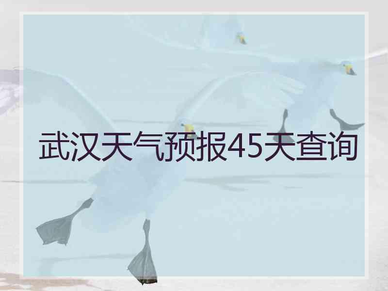 武汉天气预报45天查询