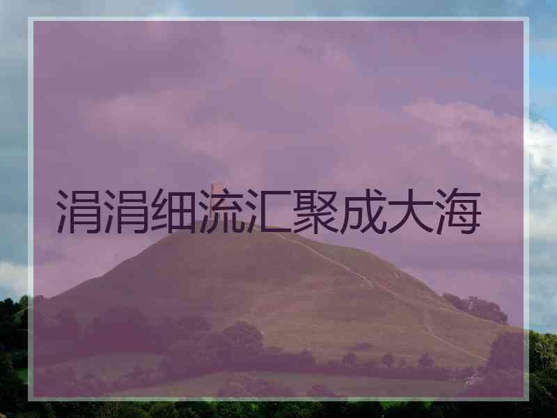 涓涓细流汇聚成大海