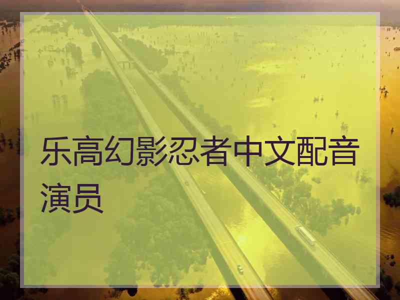 乐高幻影忍者中文配音演员