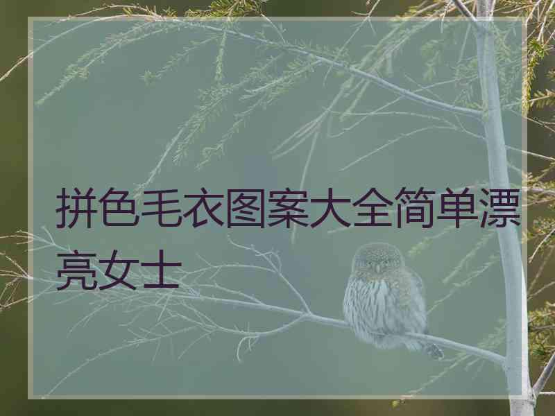 拼色毛衣图案大全简单漂亮女士