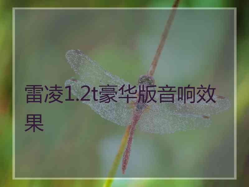 雷凌1.2t豪华版音响效果