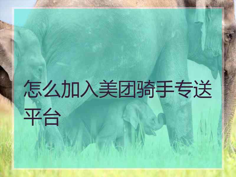 怎么加入美团骑手专送平台