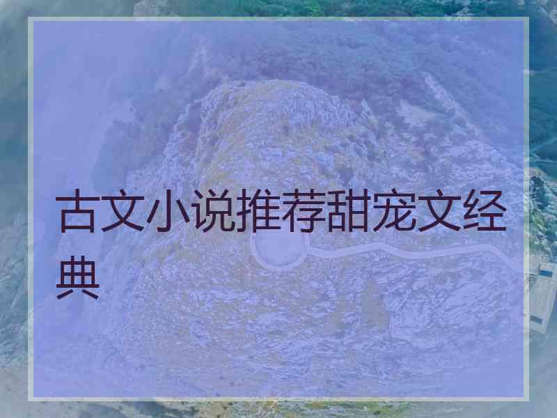 古文小说推荐甜宠文经典