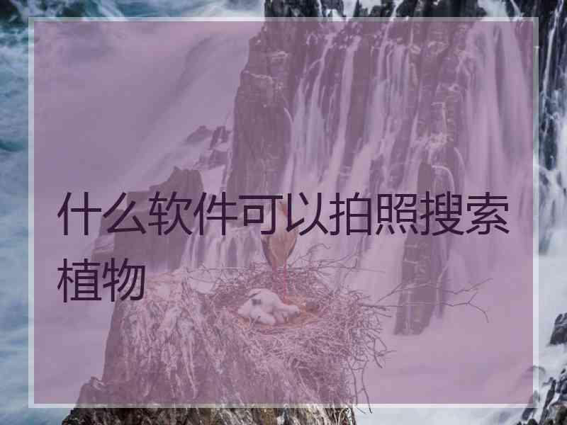 什么软件可以拍照搜索植物