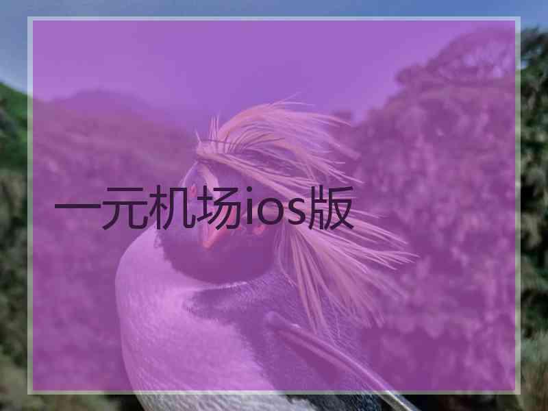 一元机场ios版