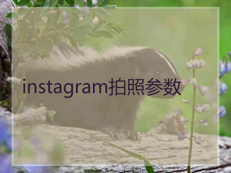 instagram拍照参数