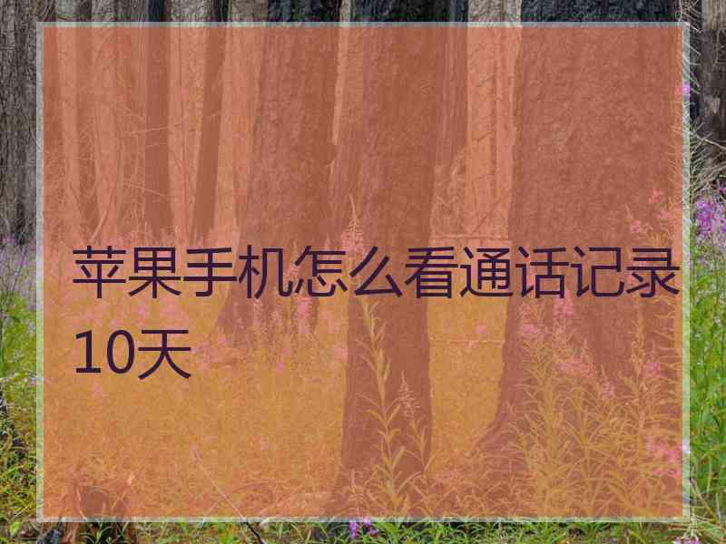 苹果手机怎么看通话记录10天