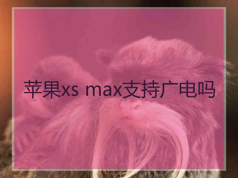 苹果xs max支持广电吗