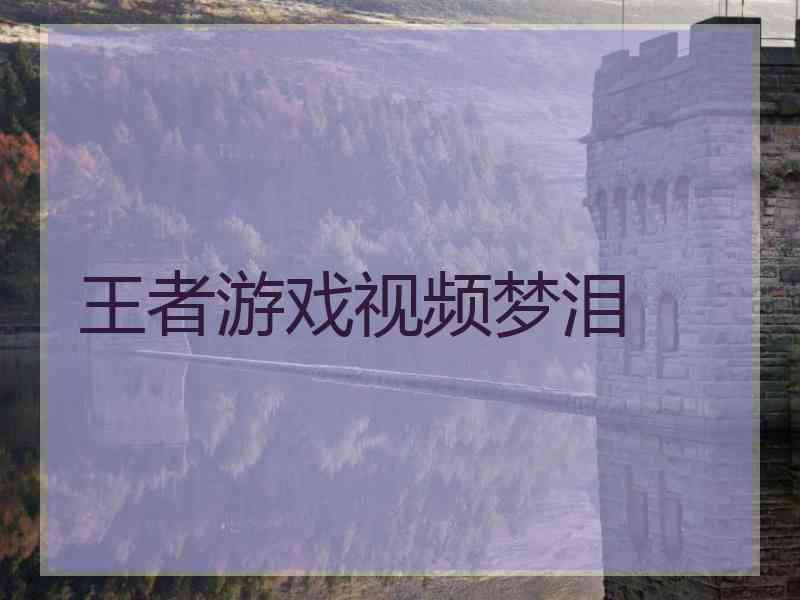 王者游戏视频梦泪