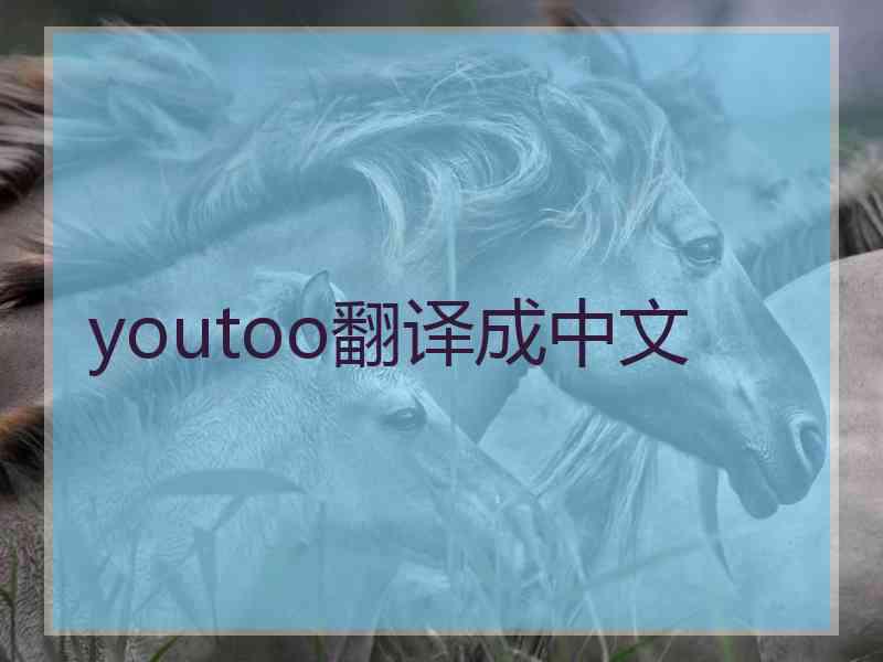 youtoo翻译成中文