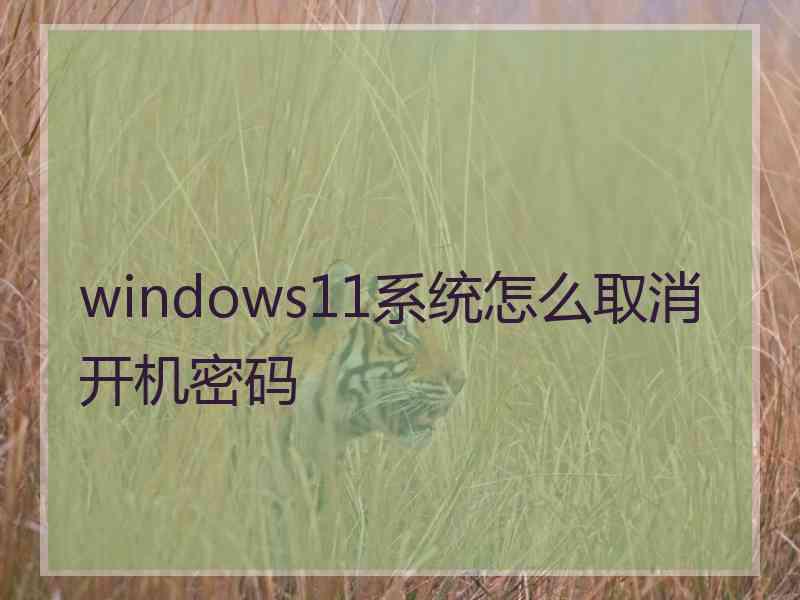 windows11系统怎么取消开机密码