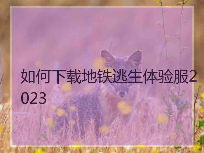 如何下载地铁逃生体验服2023