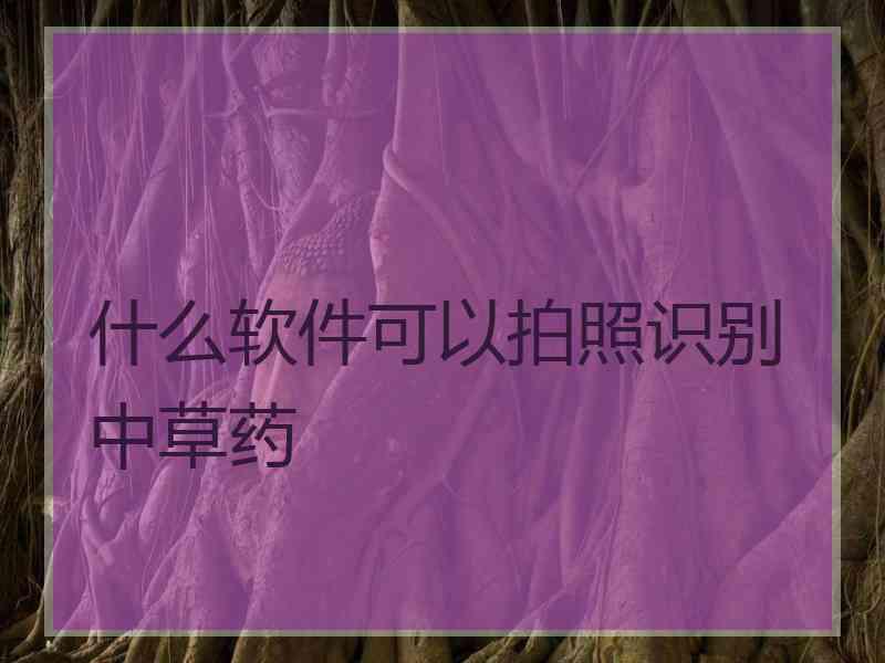 什么软件可以拍照识别中草药