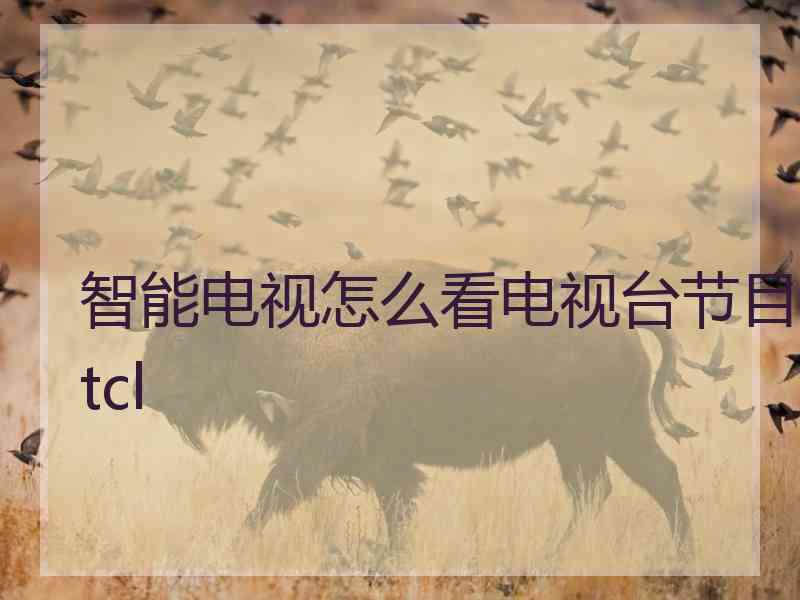 智能电视怎么看电视台节目tcl
