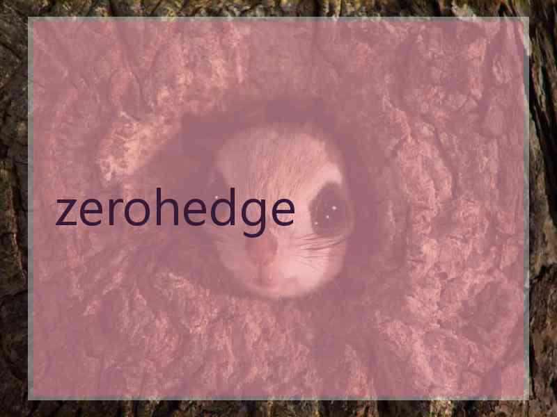 zerohedge