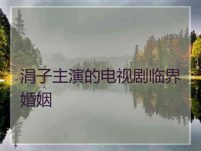 涓子主演的电视剧临界婚姻