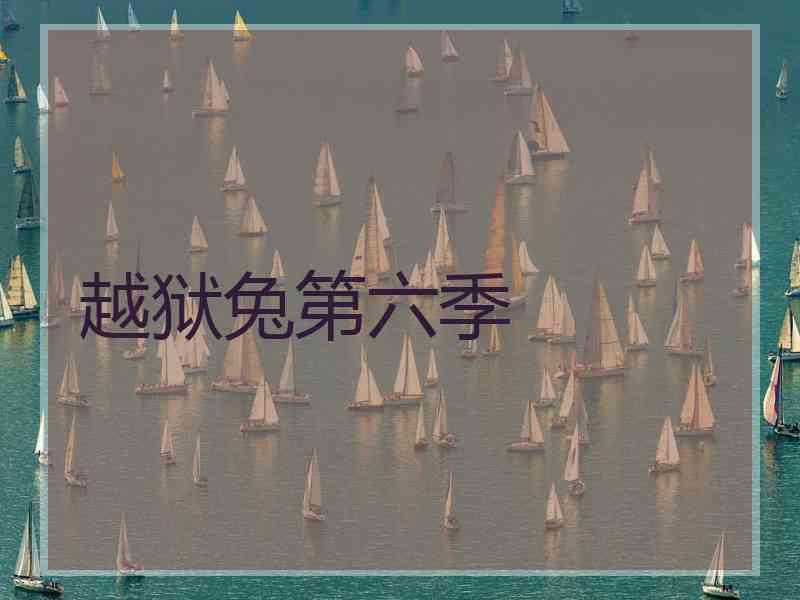 越狱兔第六季