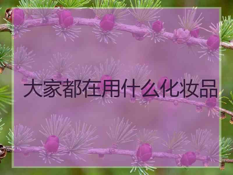 大家都在用什么化妆品