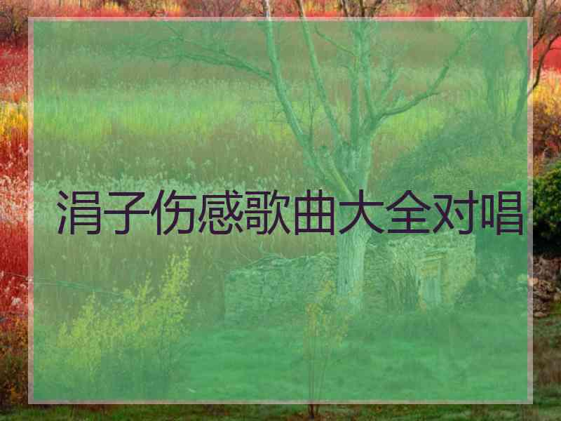 涓子伤感歌曲大全对唱