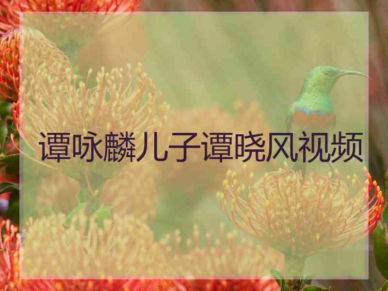 谭咏麟儿子谭晓风视频
