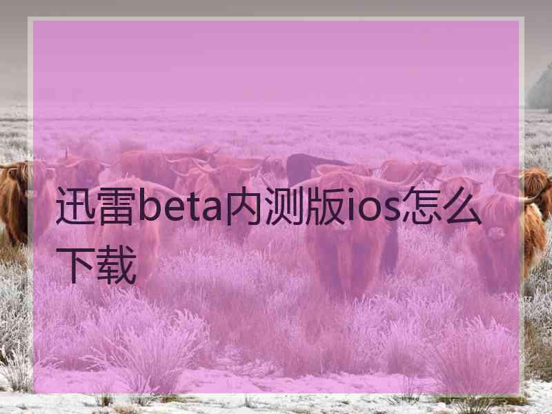 迅雷beta内测版ios怎么下载