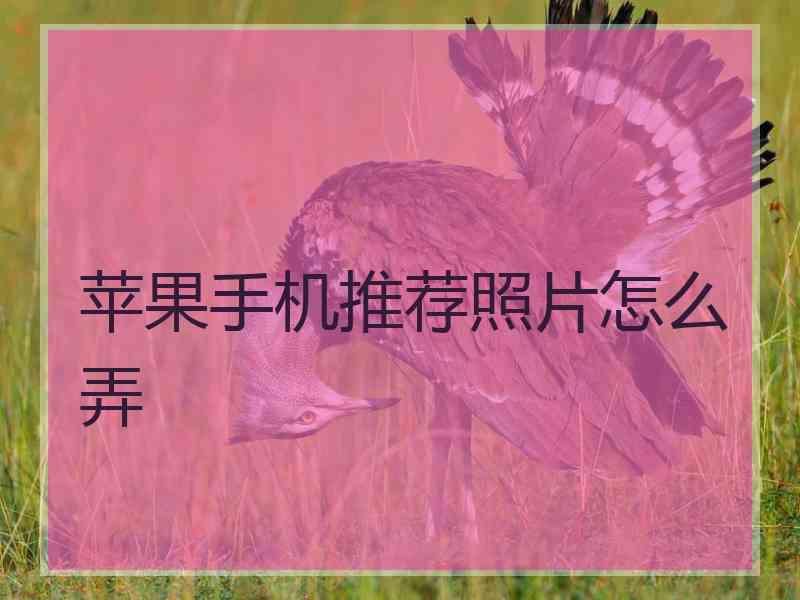 苹果手机推荐照片怎么弄