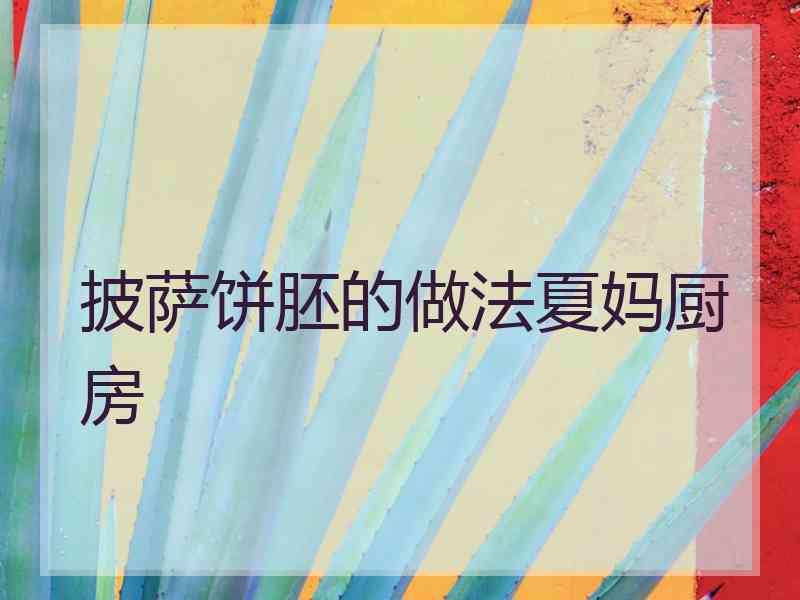 披萨饼胚的做法夏妈厨房 披萨饼胚的做法夏妈厨房
