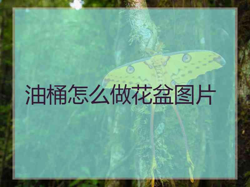油桶怎么做花盆图片
