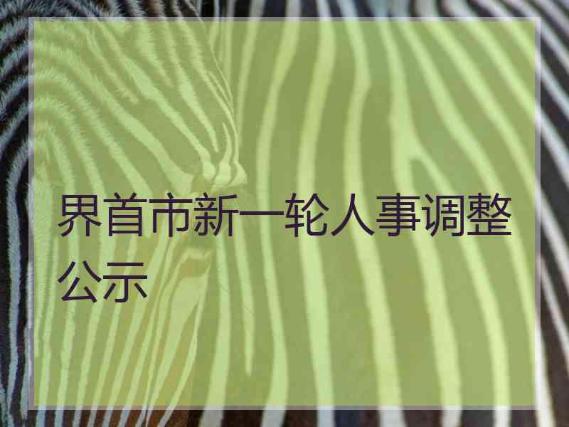 界首市新一轮人事调整公示