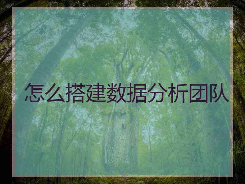 怎么搭建数据分析团队
