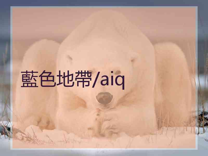 藍色地帶/aiq 藍色地帶/aiq