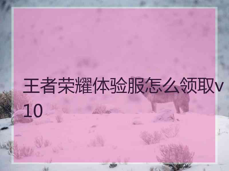王者荣耀体验服怎么领取v10