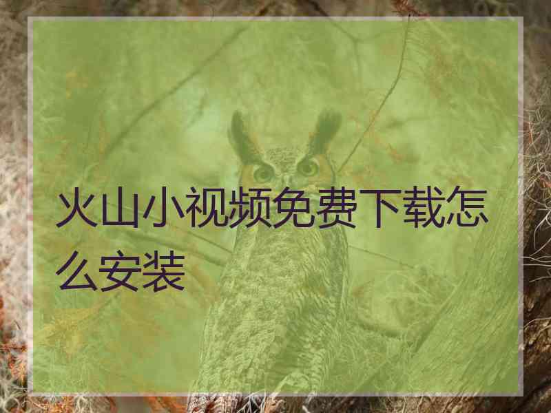 火山小视频免费下载怎么安装