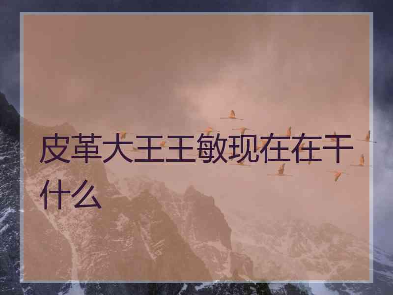 皮革大王王敏现在在干什么