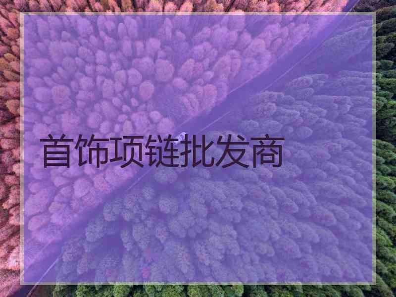 首饰项链批发商