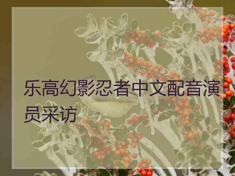 乐高幻影忍者中文配音演员采访