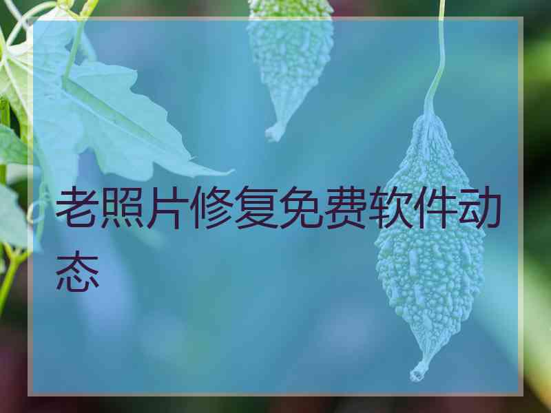 老照片修复免费软件动态