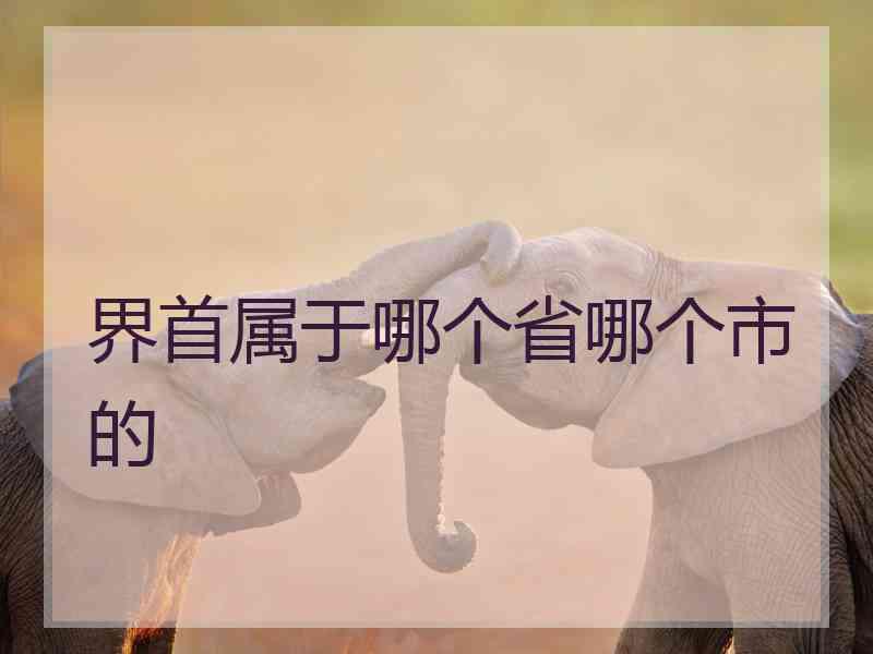 界首属于哪个省哪个市的