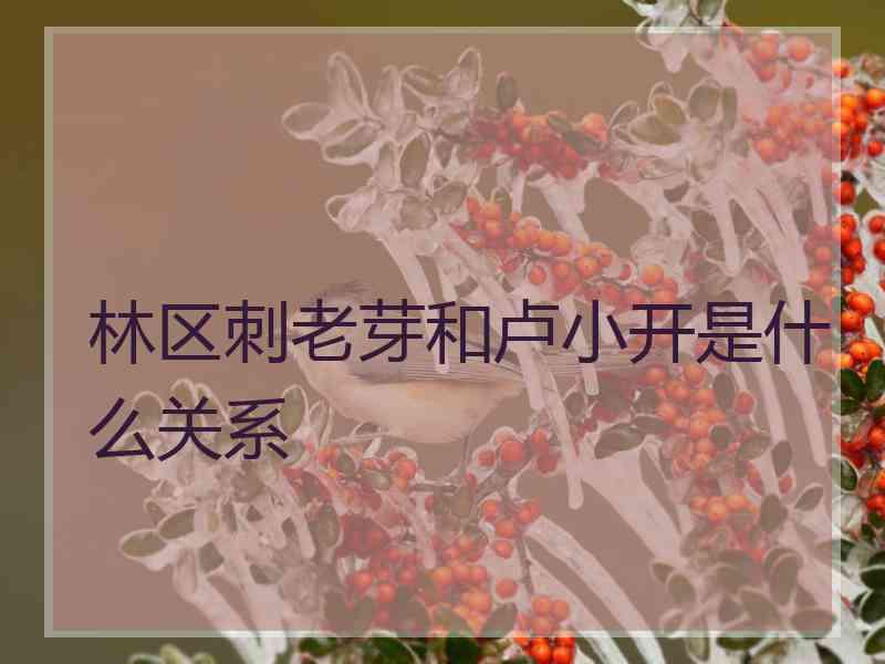 林区刺老芽和卢小开是什么关系