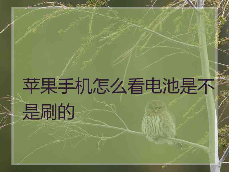 苹果手机怎么看电池是不是刷的