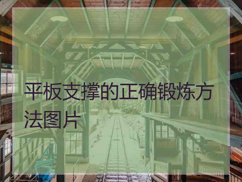 平板支撑的正确锻炼方法图片