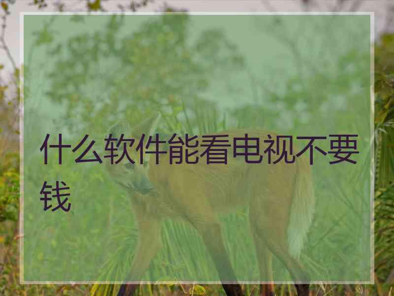 什么软件能看电视不要钱