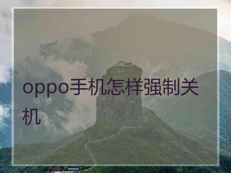 oppo手机怎样强制关机