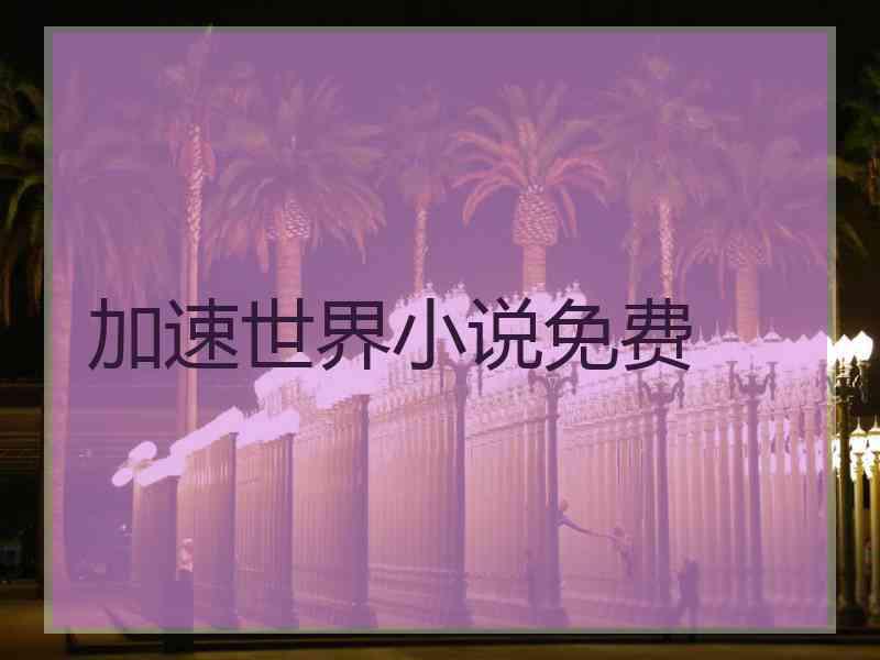 加速世界小说免费