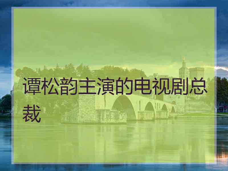 谭松韵主演的电视剧总裁