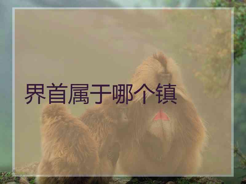 界首属于哪个镇