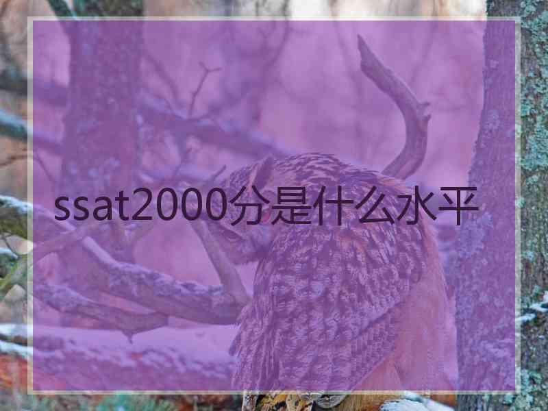 ssat2000分是什么水平 ssat2000分是什么水平